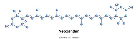 Neoxanthin Carotenoid Xanthophyll Plants Intermediate Biosynthesis ...