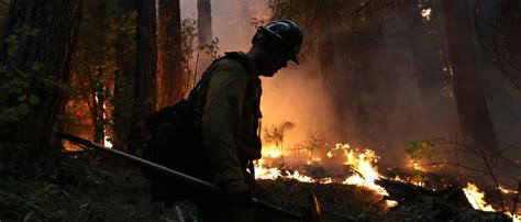 Colorado Wildfire Surpasses 200,000 Acres, Making It Largest Fire In ...