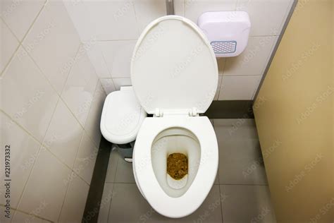 Poop On Toilet Seat