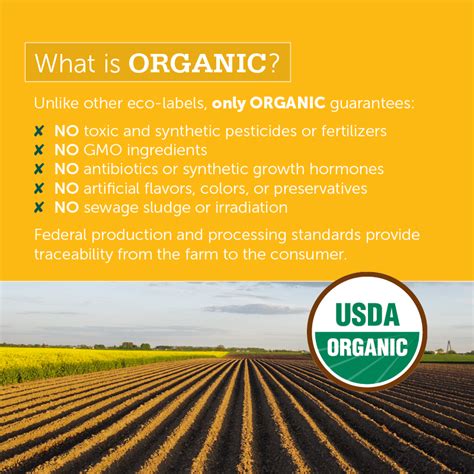 Benefits of Organic Food | Why You Should Eat Organic - Simply Quinoa