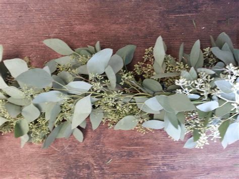 Seeded Eucalyptus Garland – The Garland Guy