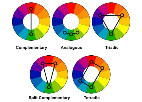 Split Complementary Colors In Nature