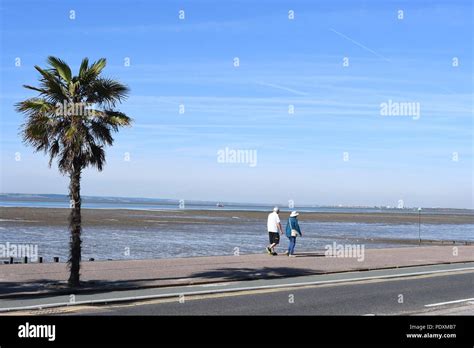 Southend-on-Sea, Essex, UK. 11th August, 2018. UK Weather: A warm start to the day in Southend ...