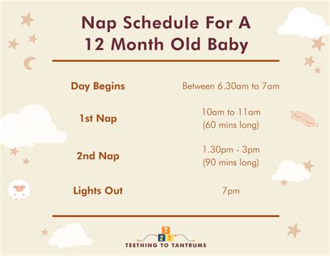 12 Month Old Sleep Schedule: Your Invaluable Guide To Zzz