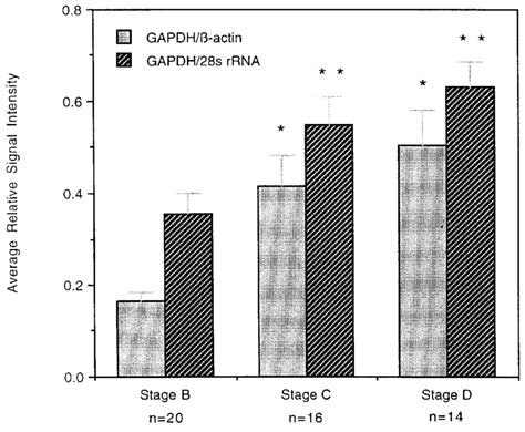 Differential gene expression pattern of GAPDH in pathologic stage B, C... | Download Scientific ...