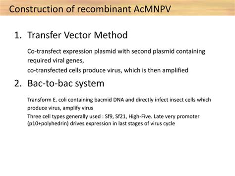 Baculovirus expression vector system