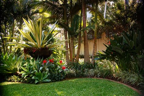 Tropical garden Coorparoo – Boss Gardenscapes