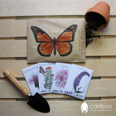 monarch butterfly garden kit - Caribou Seed Company