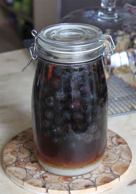 How to make blueberry brandy | Homemade liqueur recipes, Liqueurs recipes, Blueberry wine