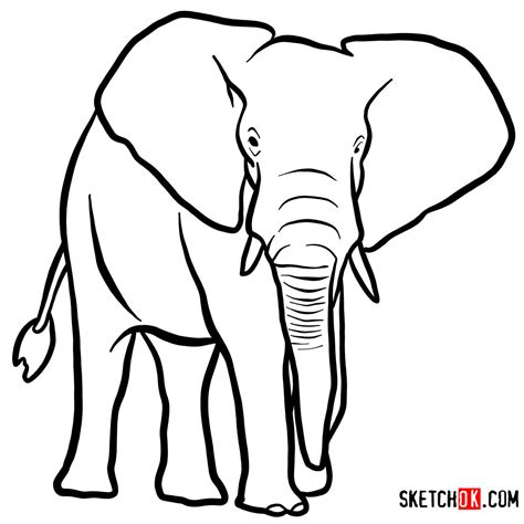 Elephant Drawing Step By Step | Free download on ClipArtMag