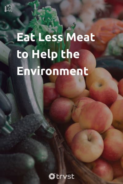 Eat Less Meat to Help the Environment