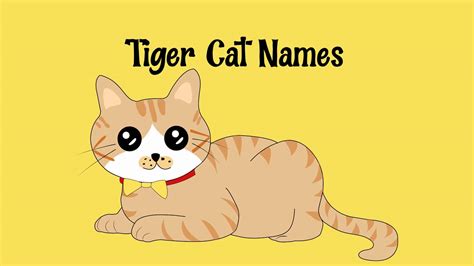 You'll Want To Adopt A Tabby After These 150 Tiger Cat Names