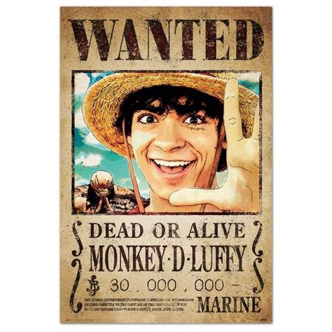 Erik Póster One Piece Netflix Wanted Monkey D. Luffy | PcComponentes.com