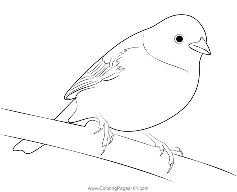 Rest Yellowhammer Coloring Page for Kids - Free Buntings Printable ...