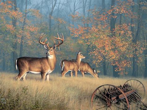 Autumn Glory 550 pc. puzzle #huntingwhitetaildeer | Deer painting, Wildlife prints, Wildlife ...