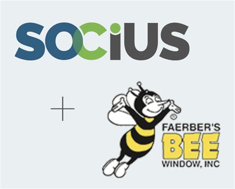 BEE Window - Socius Marketing