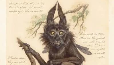 The Pooka in Irish Folklore