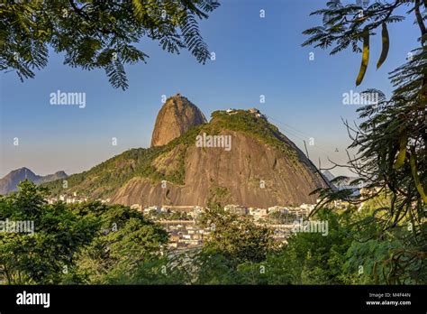 Sugar Loaf hill and forest Stock Photo - Alamy