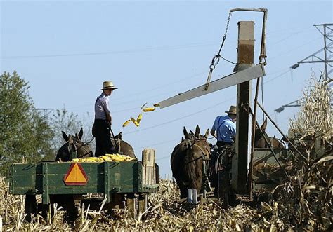 Inside Amish life