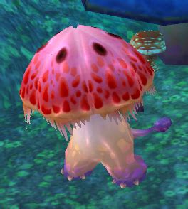 Polluted Mushroom | Talisman Online Wiki | Fandom