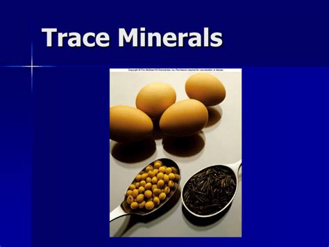 Trace Minerals