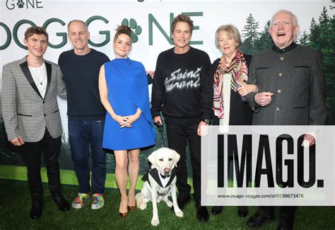 Dog Gone Premiere in Los Angeles | IMAGO