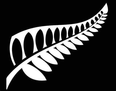 Let's just get on with a flag referendum - Silver Fern Flag