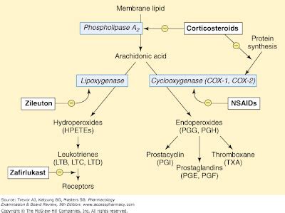 Doctors Gates: Synthesis of eicosanoid autacoids