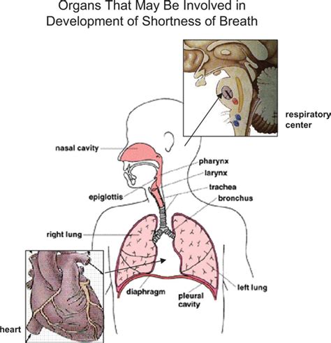 Update: Shortness of Breath | Circulation