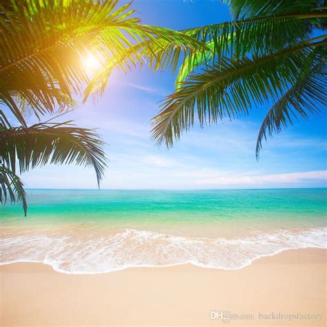 2020 Tropical Beach Photography Backdrop Green Palm Tree Leaves Bokeh Sunshine Blue Sky And Sea ...