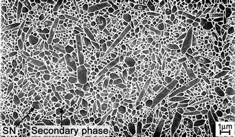 CF's AMAZING PROFESSIONAL BLOG: Fantastic Ceramic Microstructure