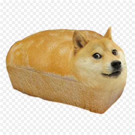 Doge meme Bread Plush toy | Etsy