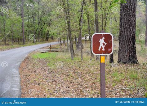 Hiking Trail Sign in Piney Woods, Texas Stock Photo - Image of national ...