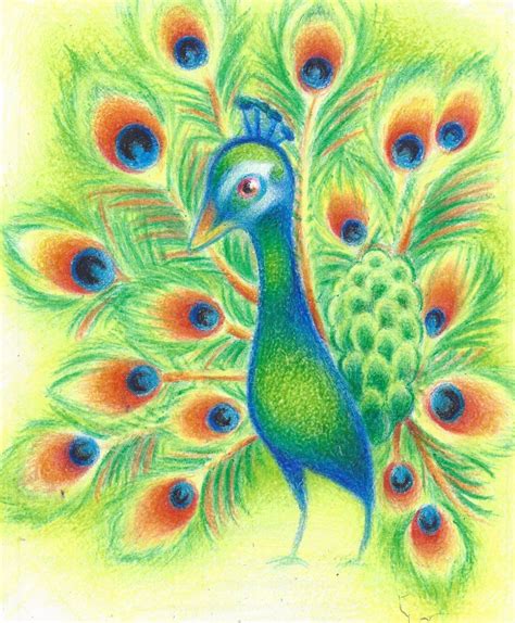 Crayons Drawing Images at PaintingValley.com | Explore collection of ...