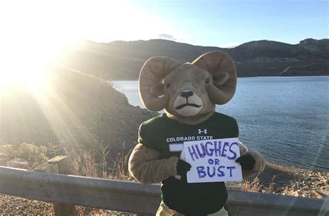 CSU CAM the Ram (@CSUCamtheRam) | Twitter | Ram, Mascot, Teddy bear