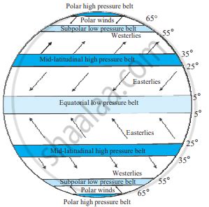 Draw a neat diagram showing pressure belts. Label the diagram. - Geography | Shaalaa.com