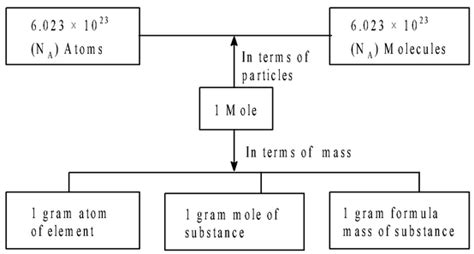 Mole Concept Basics - Physics Wallah