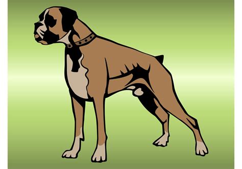 Boxer Dog Free Vector Art - (3063 Free Downloads)