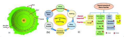 Bast fiber's (a) Fiber bundle (b) Extraction and process (c) Influence ...