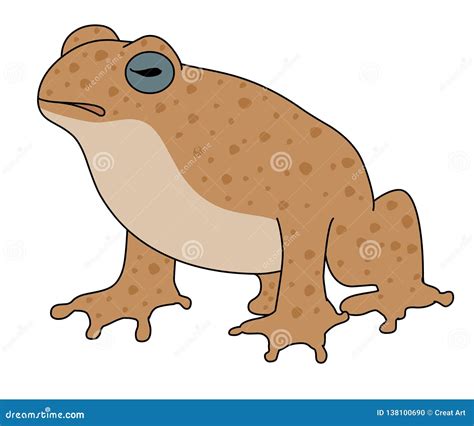 Cane Toad Vector Illustration. Vector Frog Stock Vector - Illustration of logo, funny: 138100690