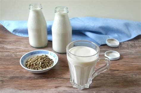 How to make your own hemp milk - quick, easy and healthy