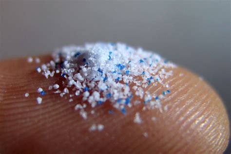 Microplastics are in our bodies. How much do they harm us?