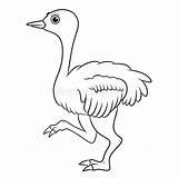 Illustration Of A Cartoon Ostrich Coloring Page Stock  sketch template