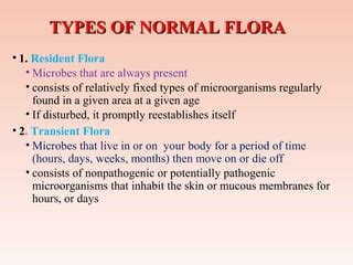 Normal flora by manoj | PPT