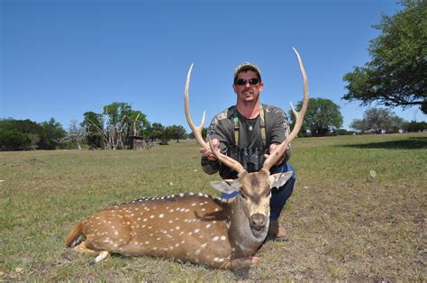 Exotic Hunting Animals For Sale In Texas