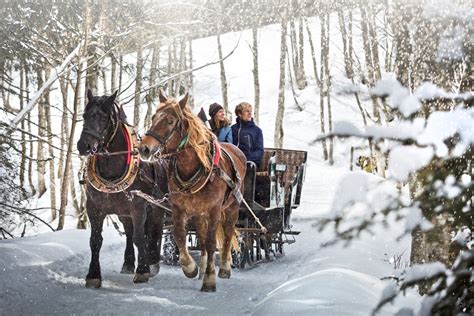 Horse-drawn sleigh rides | Infrastructure in Saalbach