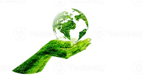 Green globe inside concept protecting the environment and nature on transparent background PNG ...