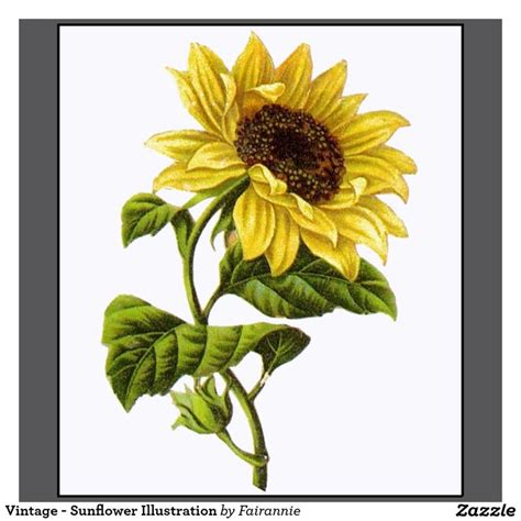 Sunflower art, Sunflower images, Flower painting