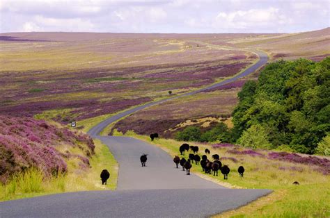 North York Moors National Park: The Complete Guide