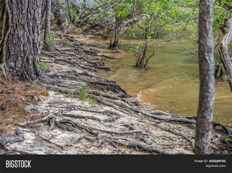 Severe Erosion On Lake Image & Photo (Free Trial) | Bigstock